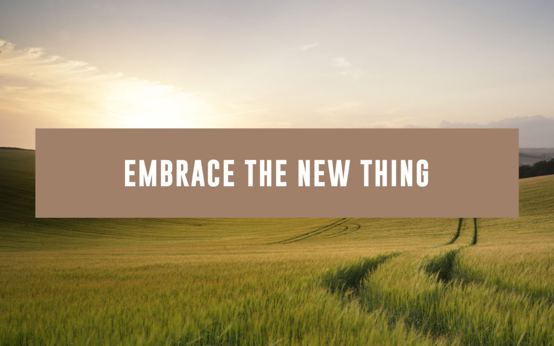 Dare to Embrace the New Thing