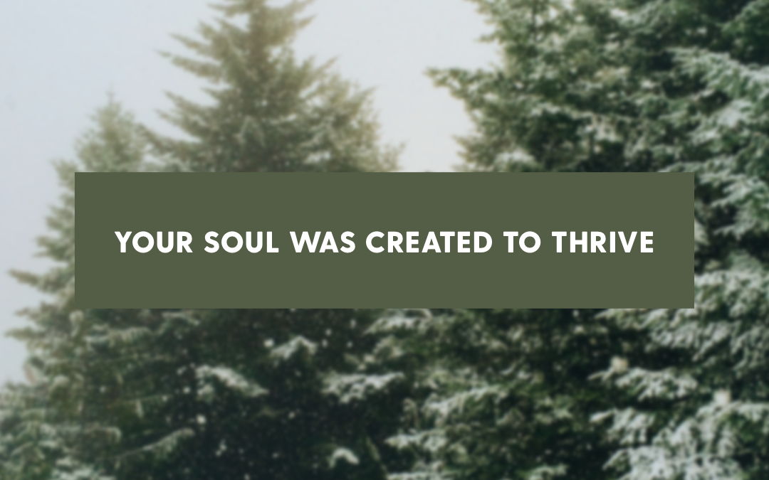 Your Soul Was Created To Thrive