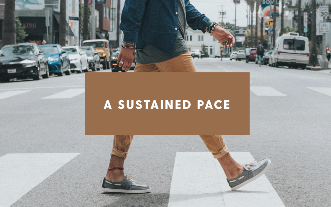 Part 2: 2021 Growth Series|A Sustained Pace