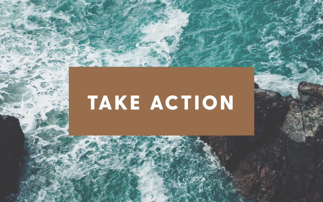 Part 5: 2021 Growth Series | Take action