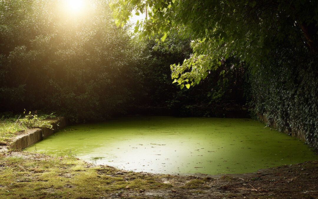 Growing or Stagnant?